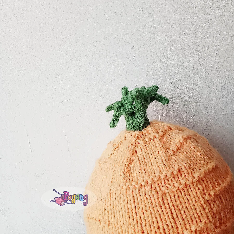Carrot Baby Hat And Cocoon — detail